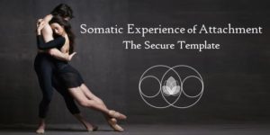 Somatic Experience of Attachment - The Secure Template