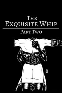 The Exquisite Whip PART 2: Hands-on Flogging Training ~ with Midori