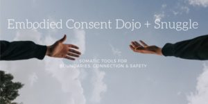 Embodied Consent Dojo + Snuggle - Hosted by Embodied Erotic