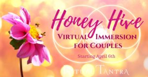 Honey Hive ~ Virtual Immersion for Couples